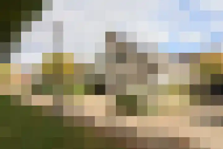 De Scholekster 5 A Harlingen thumbnail 68