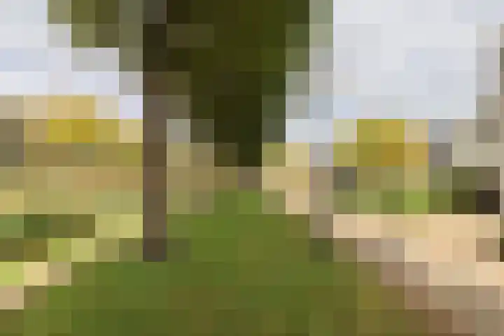 De Scholekster 5 A Harlingen thumbnail 69