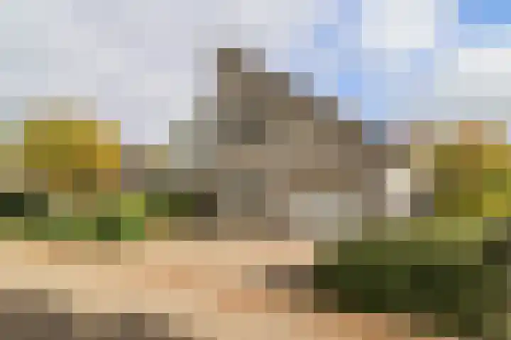 De Scholekster 5 A Harlingen thumbnail 7