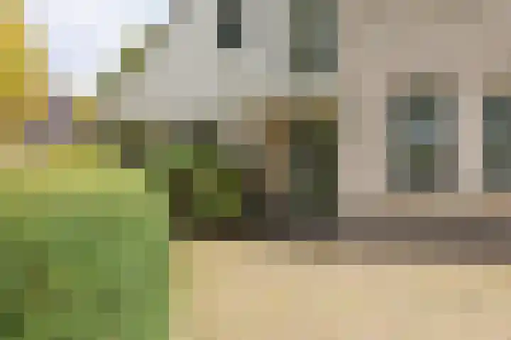 De Scholekster 5 A Harlingen thumbnail 9