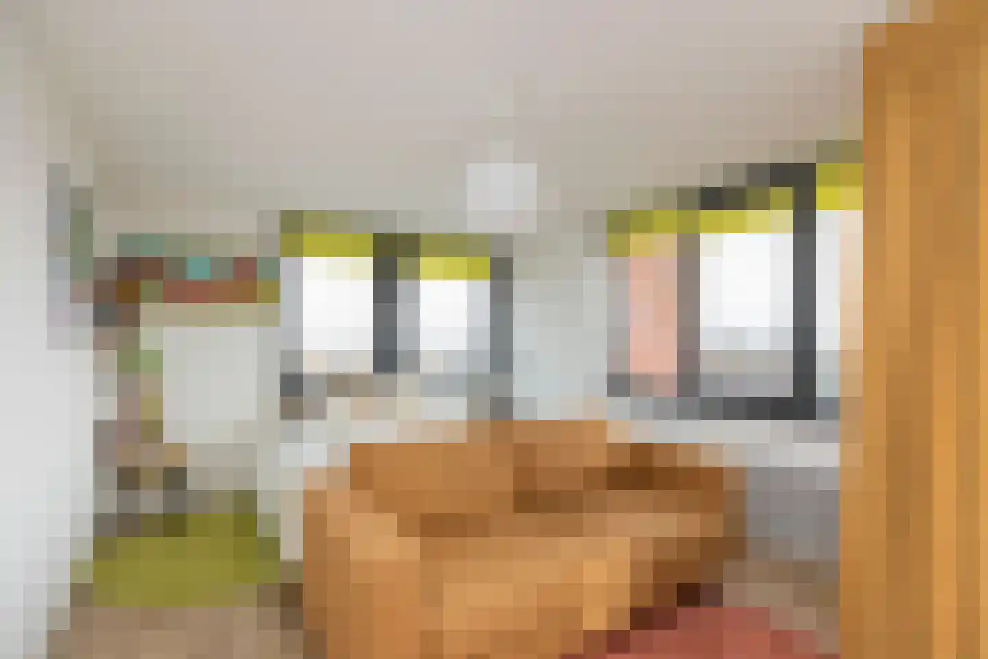 De Schoof 224 Hendrik-Ido-Ambacht thumbnail 4