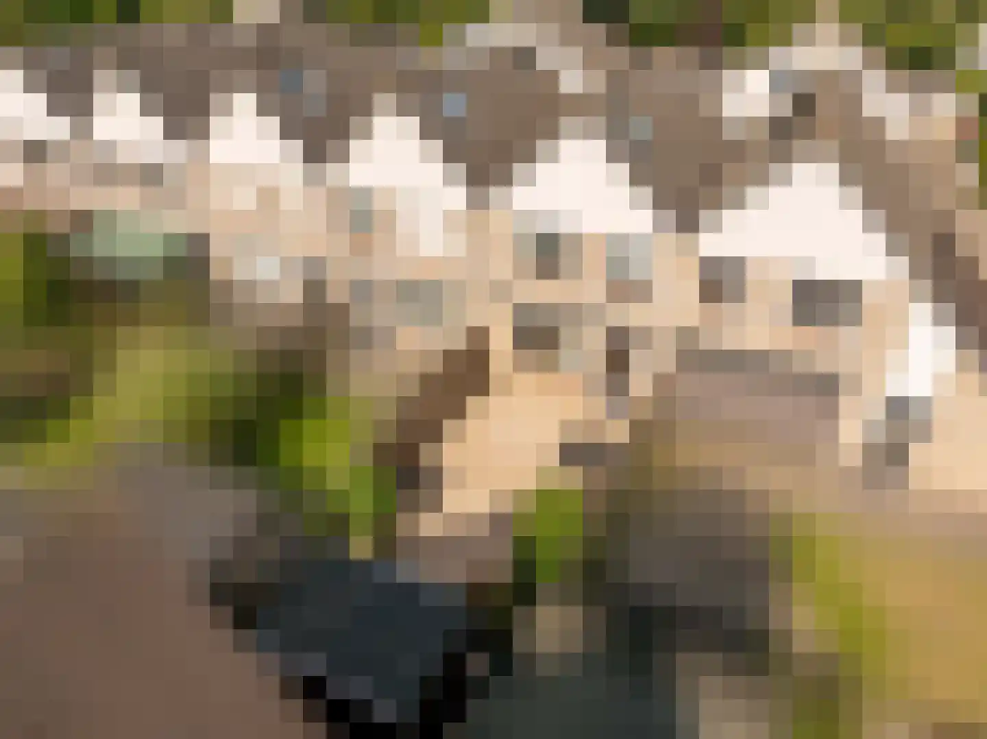 De Schoof 30 Hoogeveen thumbnail 39