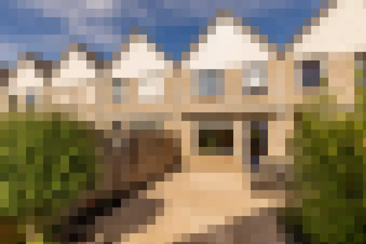 De Schoof 30 Hoogeveen thumbnail 41