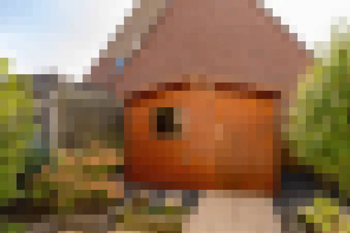 De Schoof 30 Hoogeveen thumbnail 42
