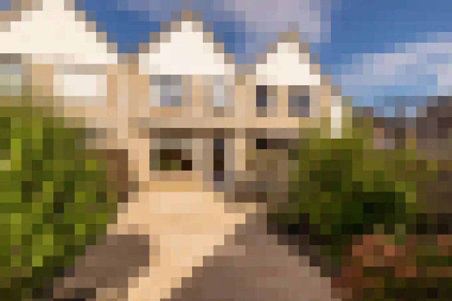 De Schoof 30 Hoogeveen thumbnail 7
