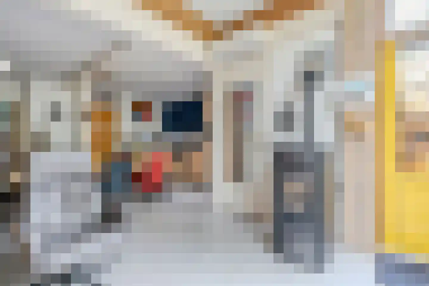 De Schoof 39 Hoogeveen thumbnail 15