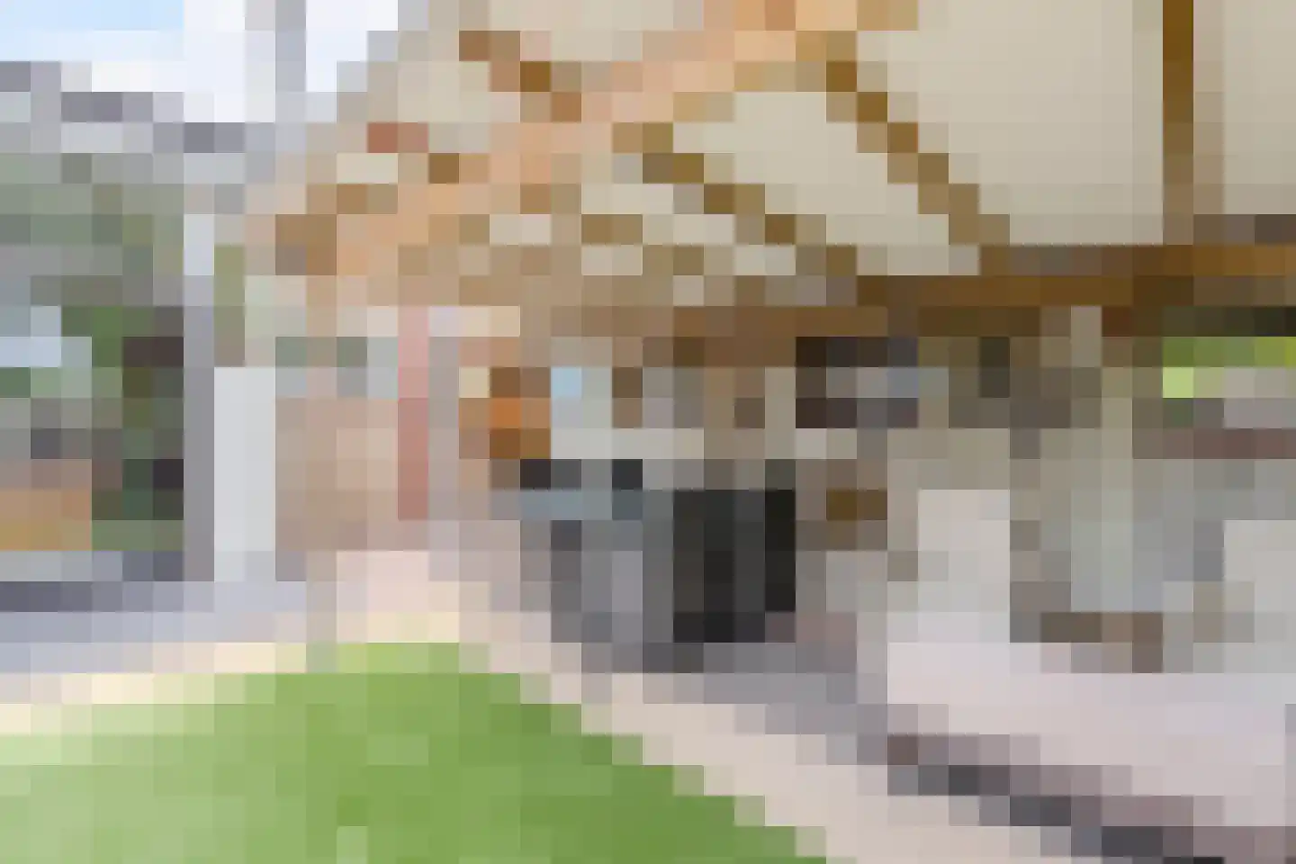 De Schoof 39 Hoogeveen thumbnail 35