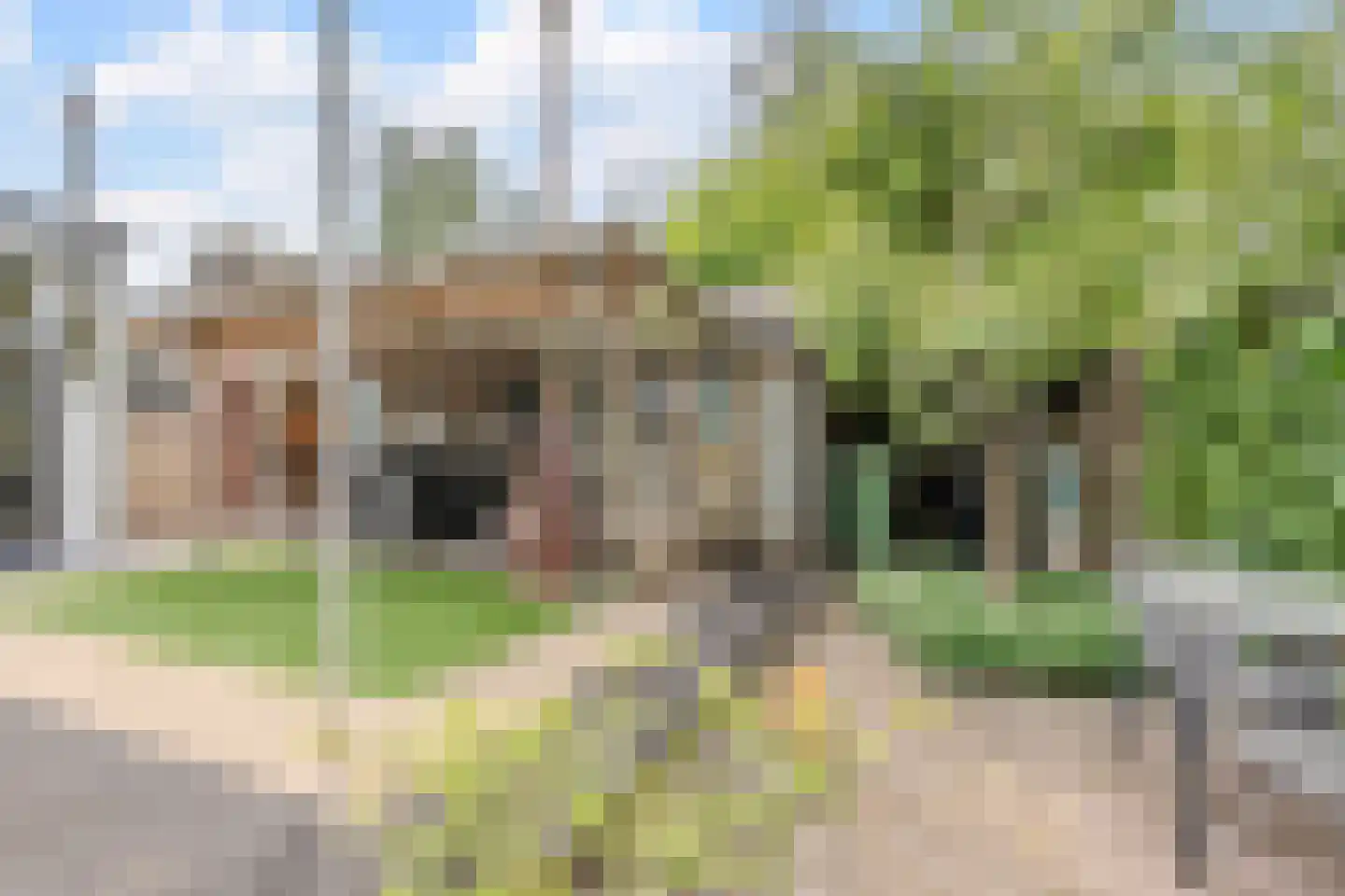De Schoof 39 Hoogeveen thumbnail 36