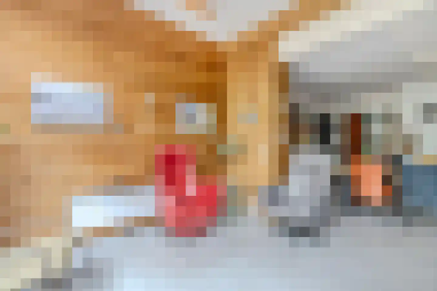 De Schoof 39 Hoogeveen thumbnail 4