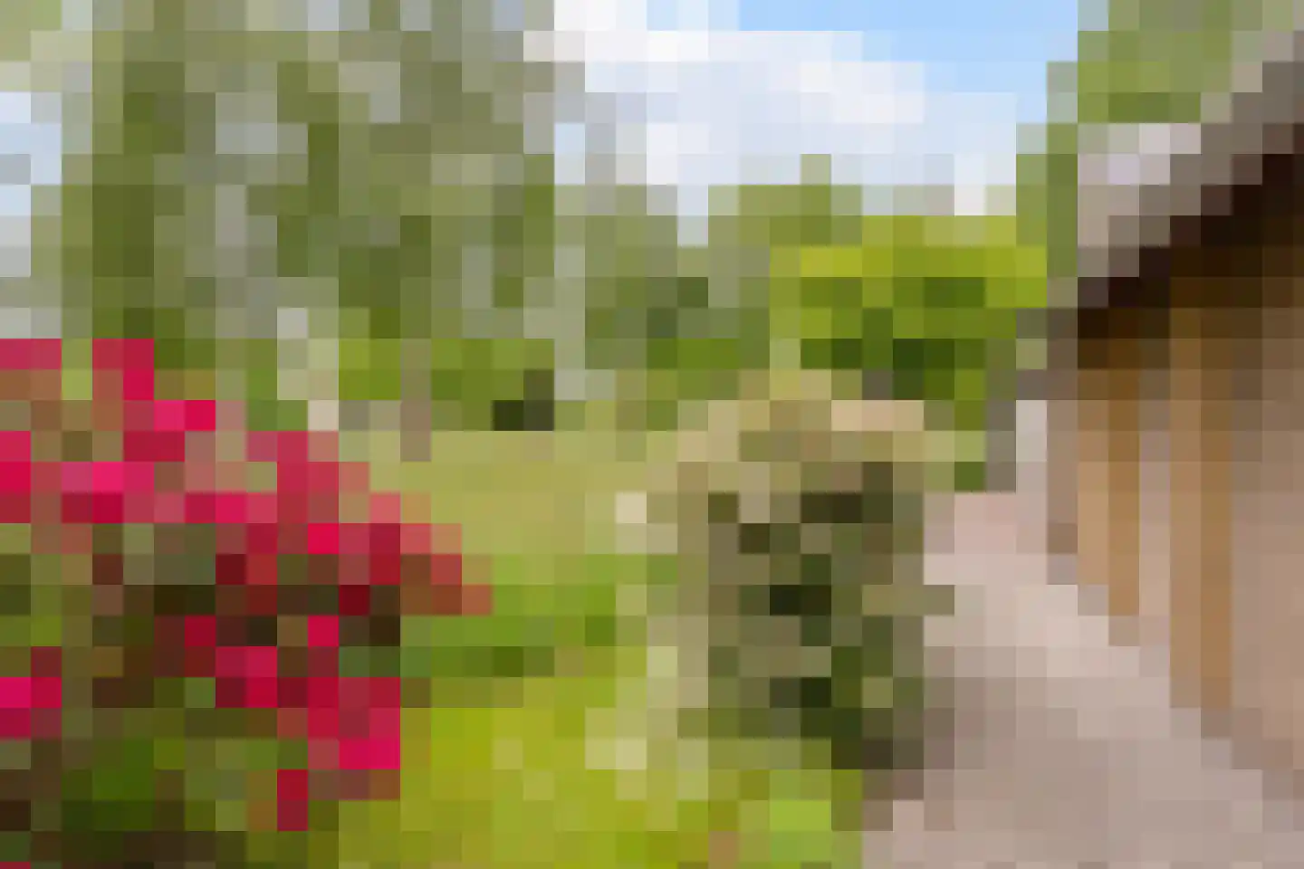 De Schoof 39 Hoogeveen thumbnail 41