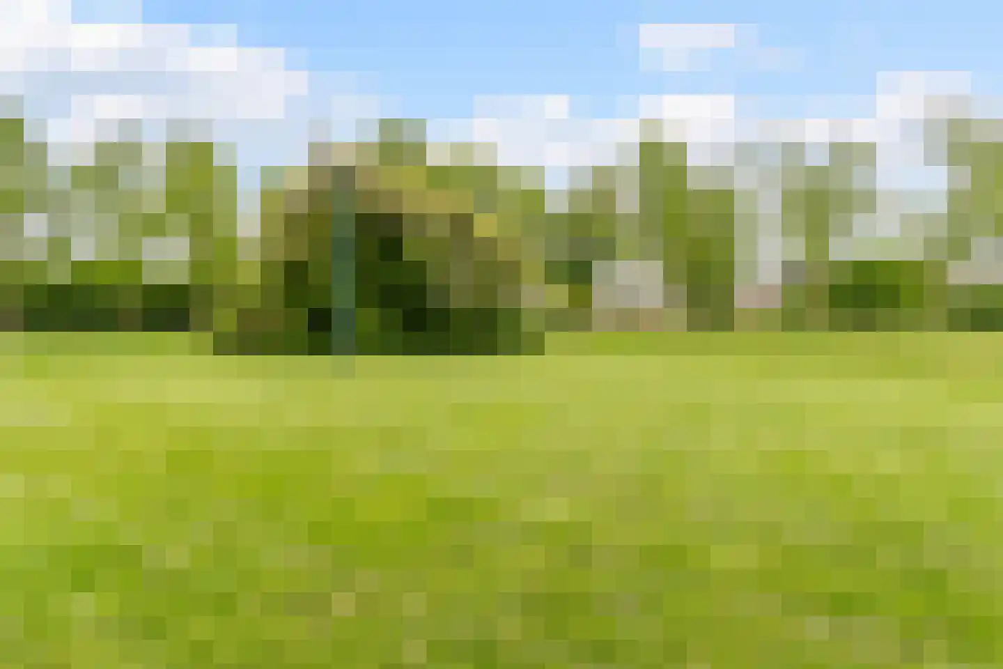 De Schoof 39 Hoogeveen thumbnail 43