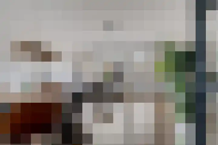 De Schoof 5 Hoogeveen thumbnail 12