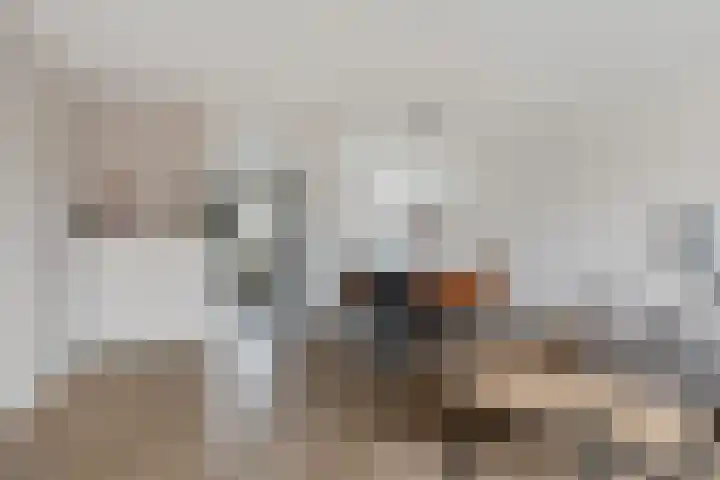 De Schoof 5 Hoogeveen thumbnail 13