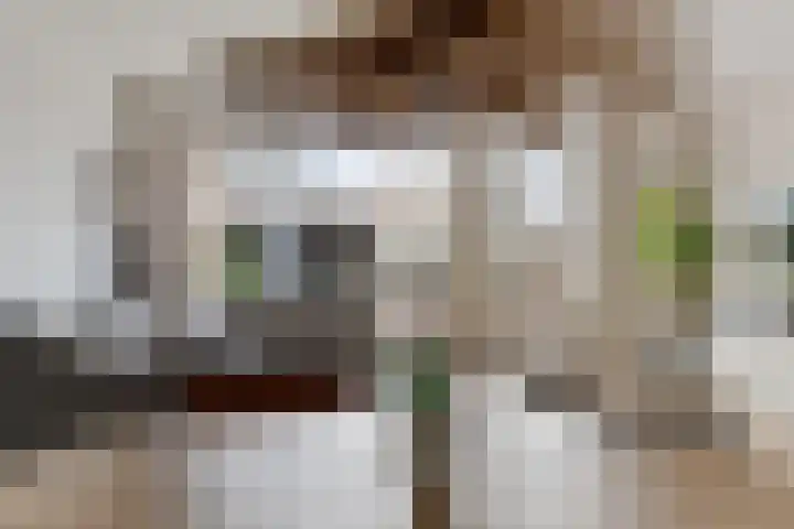 De Schoof 5 Hoogeveen thumbnail 14