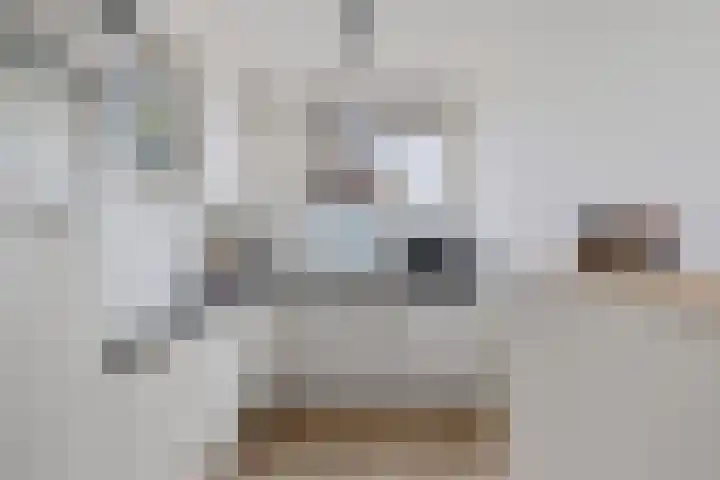 De Schoof 5 Hoogeveen thumbnail 16