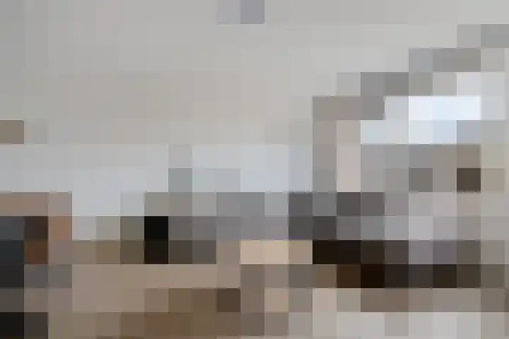 De Schoof 5 Hoogeveen thumbnail 20
