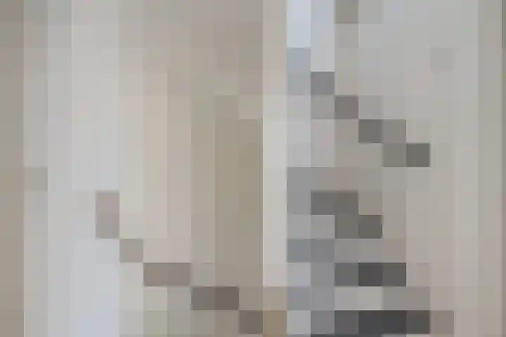De Schoof 5 Hoogeveen thumbnail 25