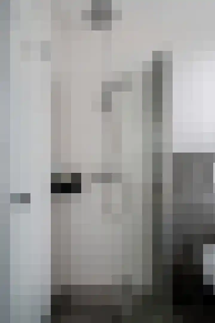 De Schoof 5 Hoogeveen thumbnail 30
