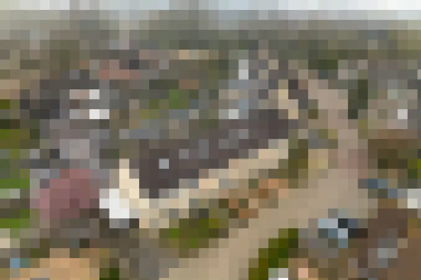 De Schoof 5 Hoogeveen thumbnail 37