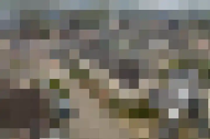 De Schoof 5 Hoogeveen thumbnail 43