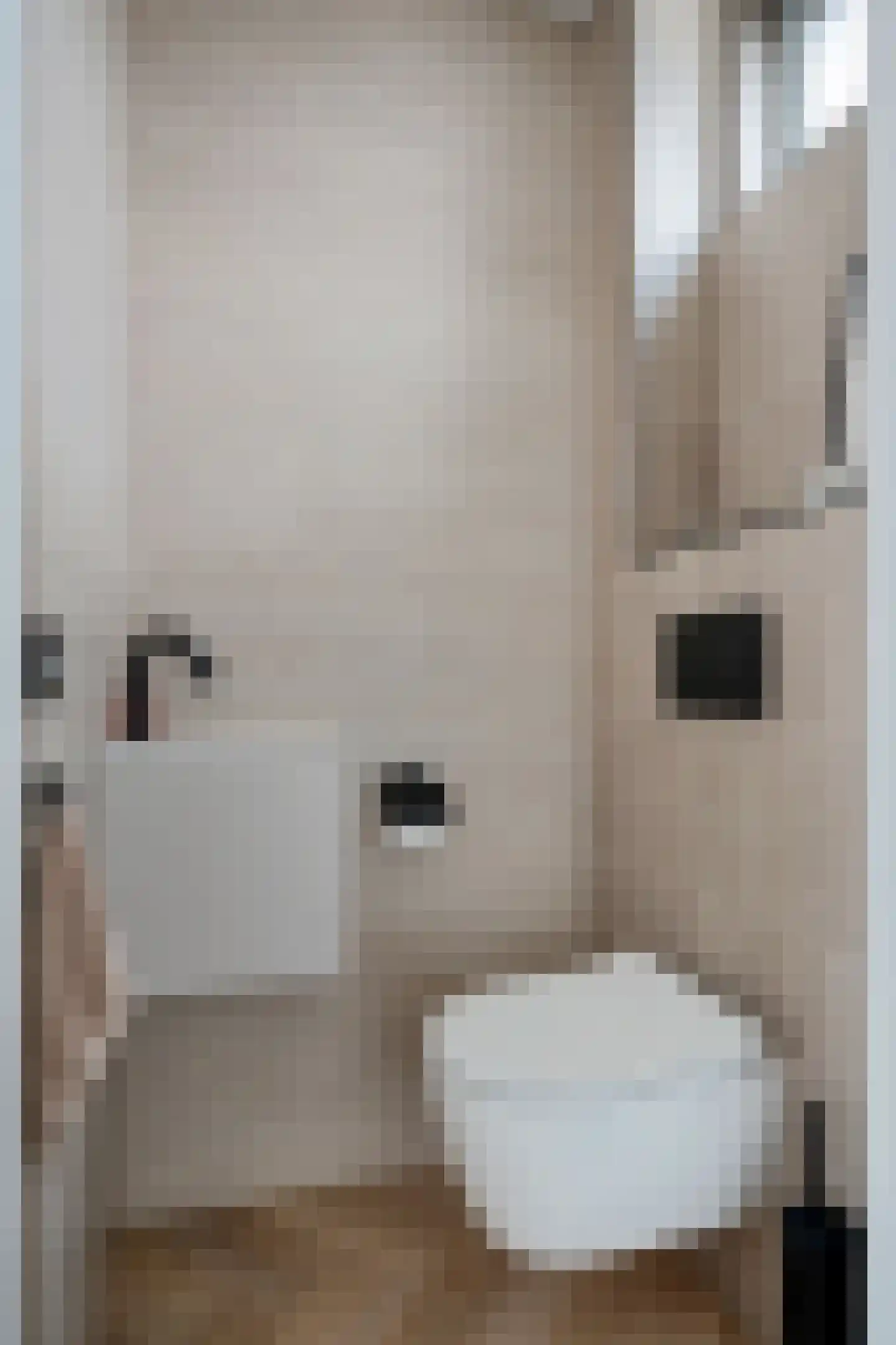 De Schoof 5 Hoogeveen thumbnail 5