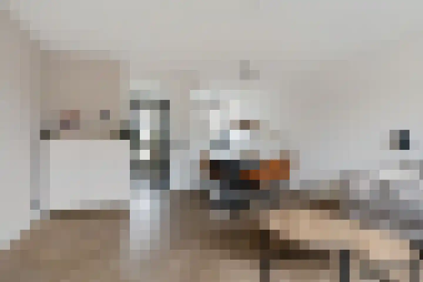 De Schoof 5 Hoogeveen thumbnail 8