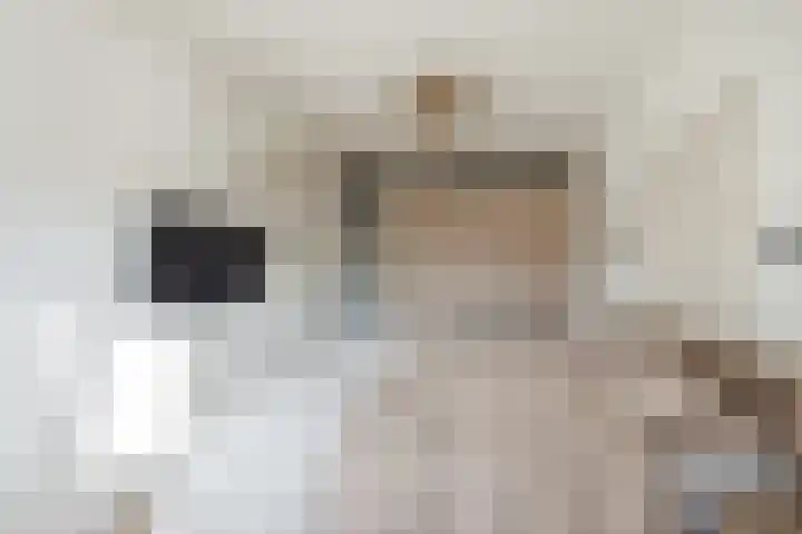 De Schoof 7 Hoogeveen thumbnail 17