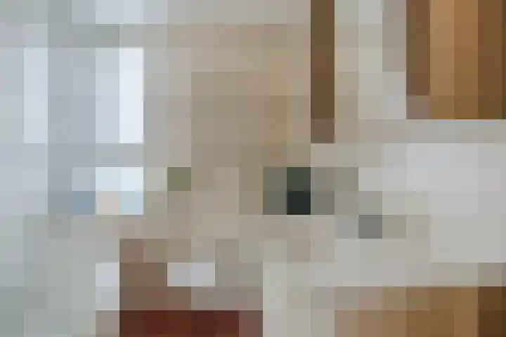 De Schoof 7 Hoogeveen thumbnail 22