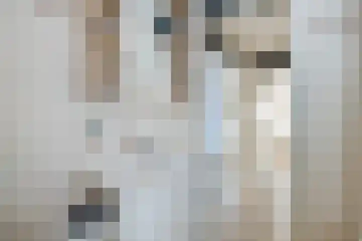 De Schoof 7 Hoogeveen thumbnail 23