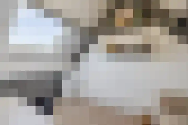 De Schoof 7 Hoogeveen thumbnail 27