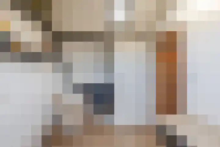 De Schoof 7 Hoogeveen thumbnail 29