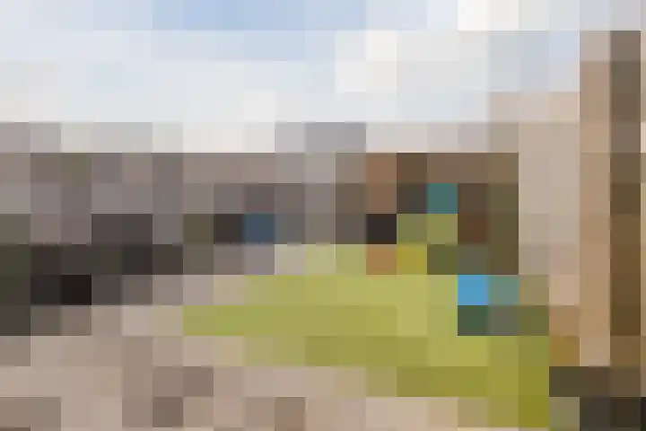 De Schoof 7 Hoogeveen thumbnail 31