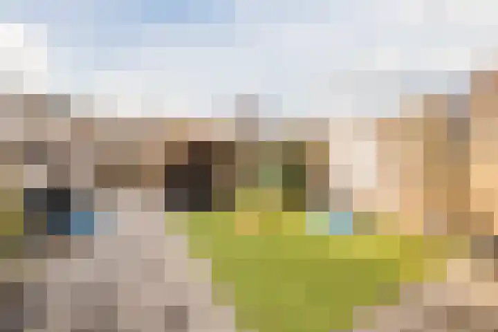 De Schoof 7 Hoogeveen thumbnail 32