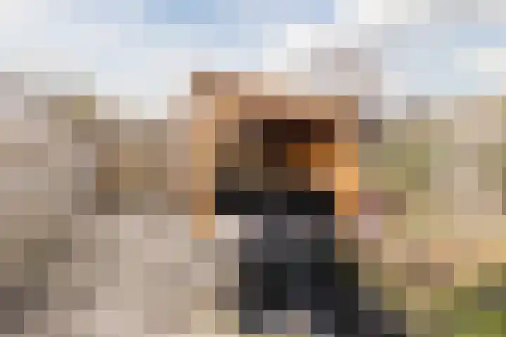 De Schoof 7 Hoogeveen thumbnail 33