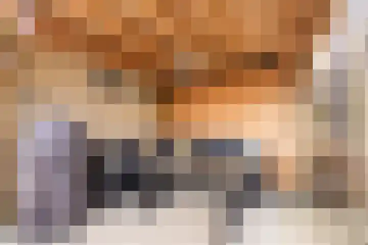 De Schoof 7 Hoogeveen thumbnail 34