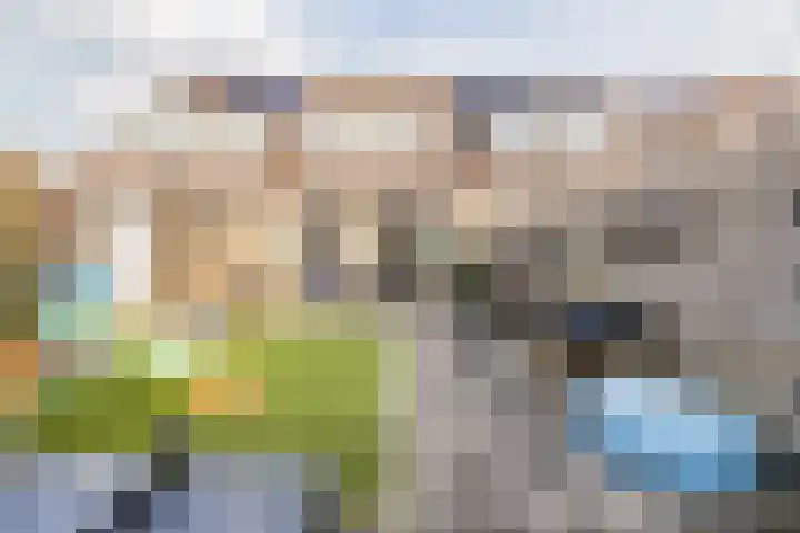 De Schoof 7 Hoogeveen thumbnail 36