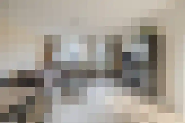 De Schoof 7 Hoogeveen thumbnail 6
