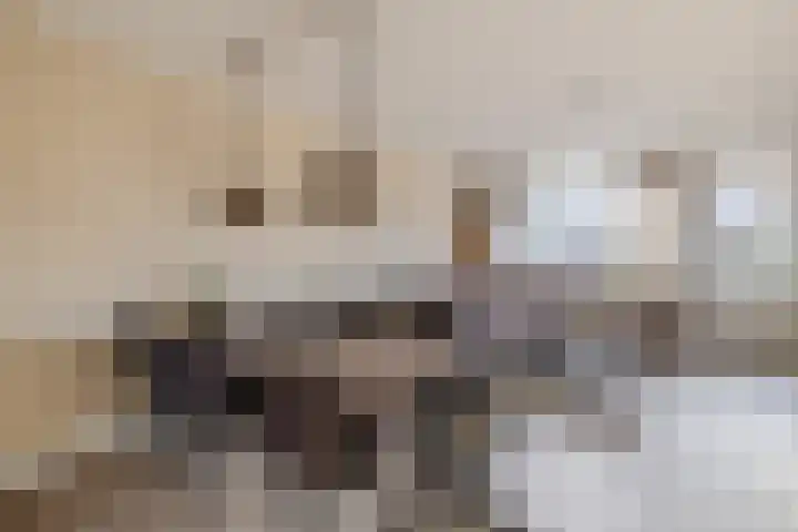 De Schoof 7 Hoogeveen thumbnail 7