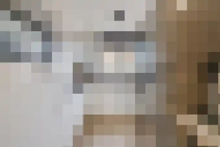 De Schoof 7 Hoogeveen thumbnail 8