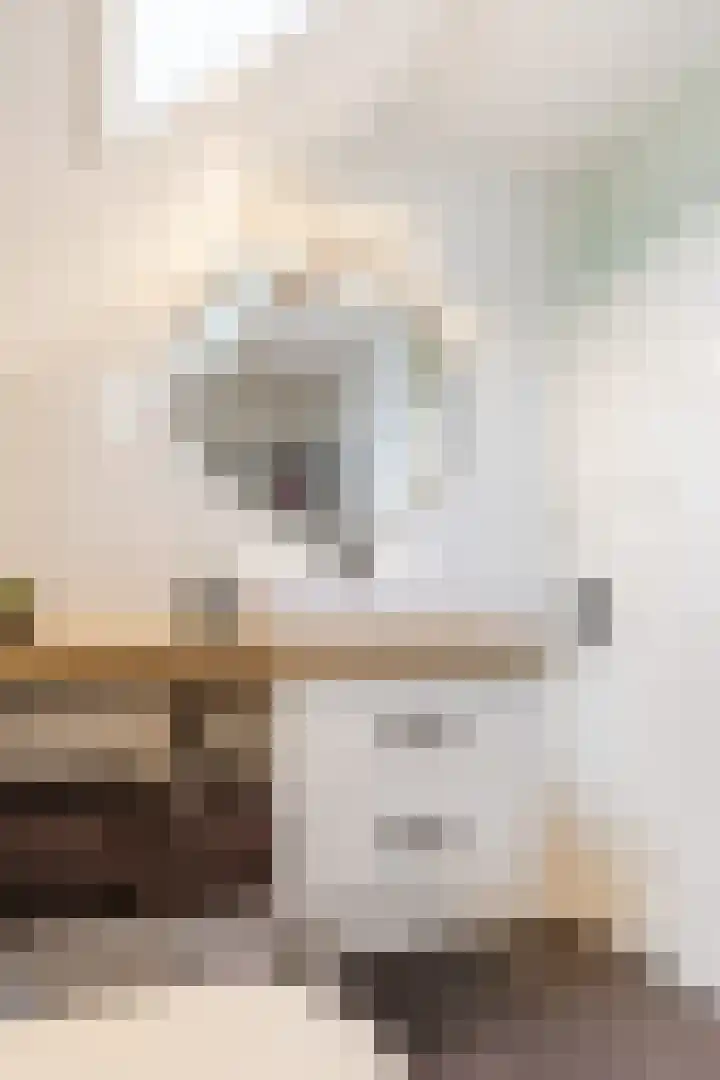 De Schoolmeesterpad 13 Goirle thumbnail 36