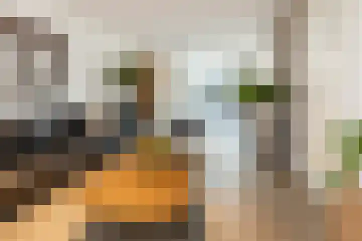 De Schoolmeesterpad 13 Goirle thumbnail 4