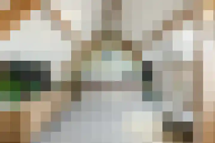 De Schoolmeesterpad 13 Goirle thumbnail 40