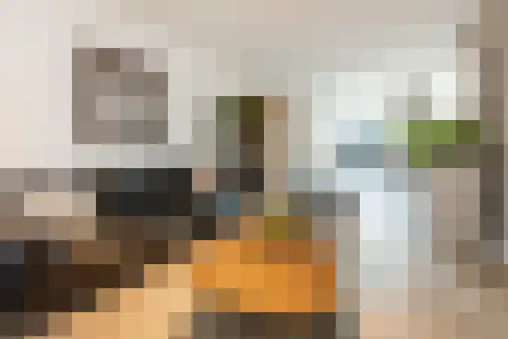 De Schoolmeesterpad 13 Goirle thumbnail 5