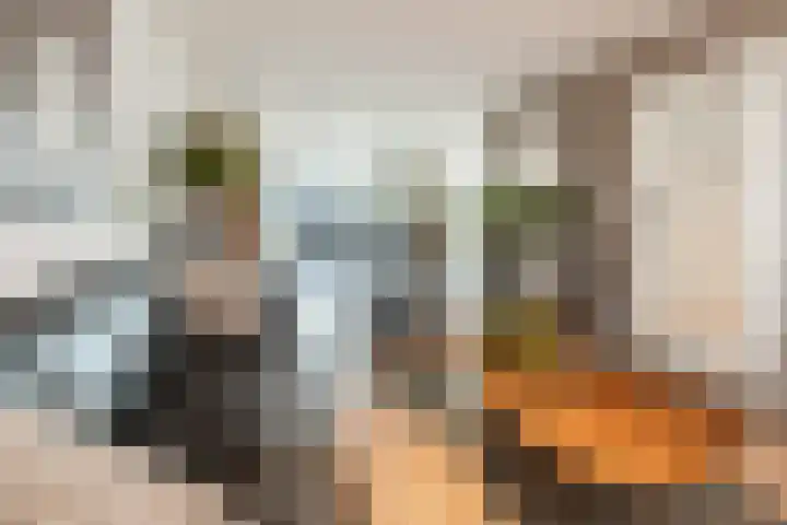 De Schoolmeesterpad 13 Goirle thumbnail 6