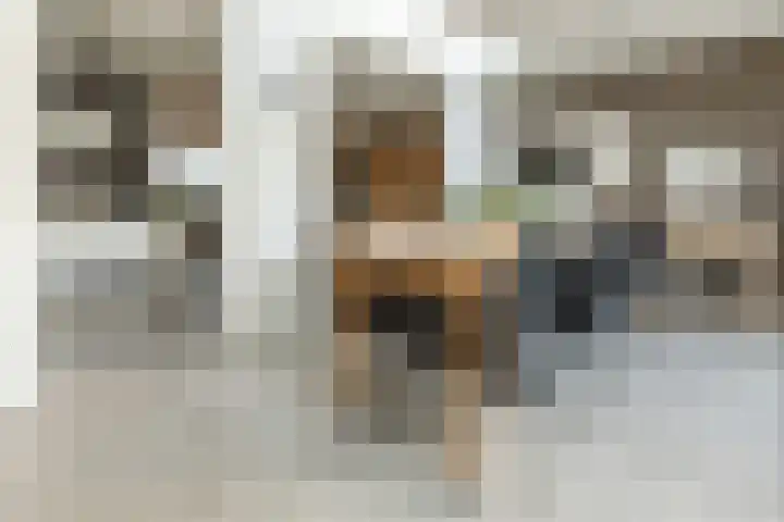 De Schoolmeesterpad 13 Goirle thumbnail 8