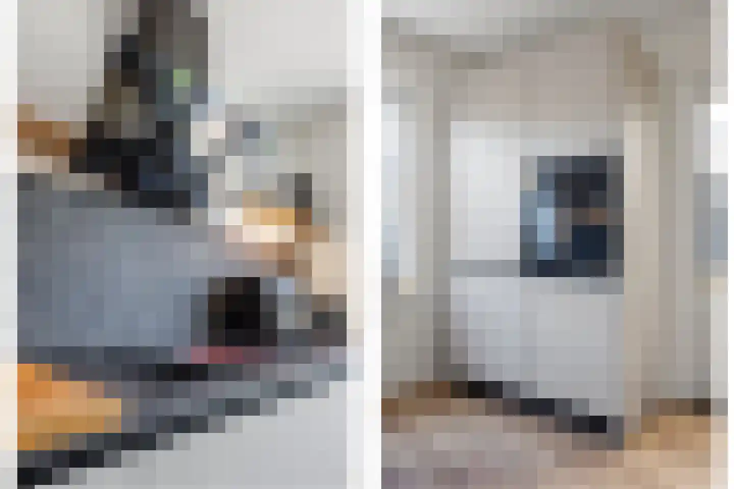 De Schoolmeesterstraat 26 Vlijmen thumbnail 11