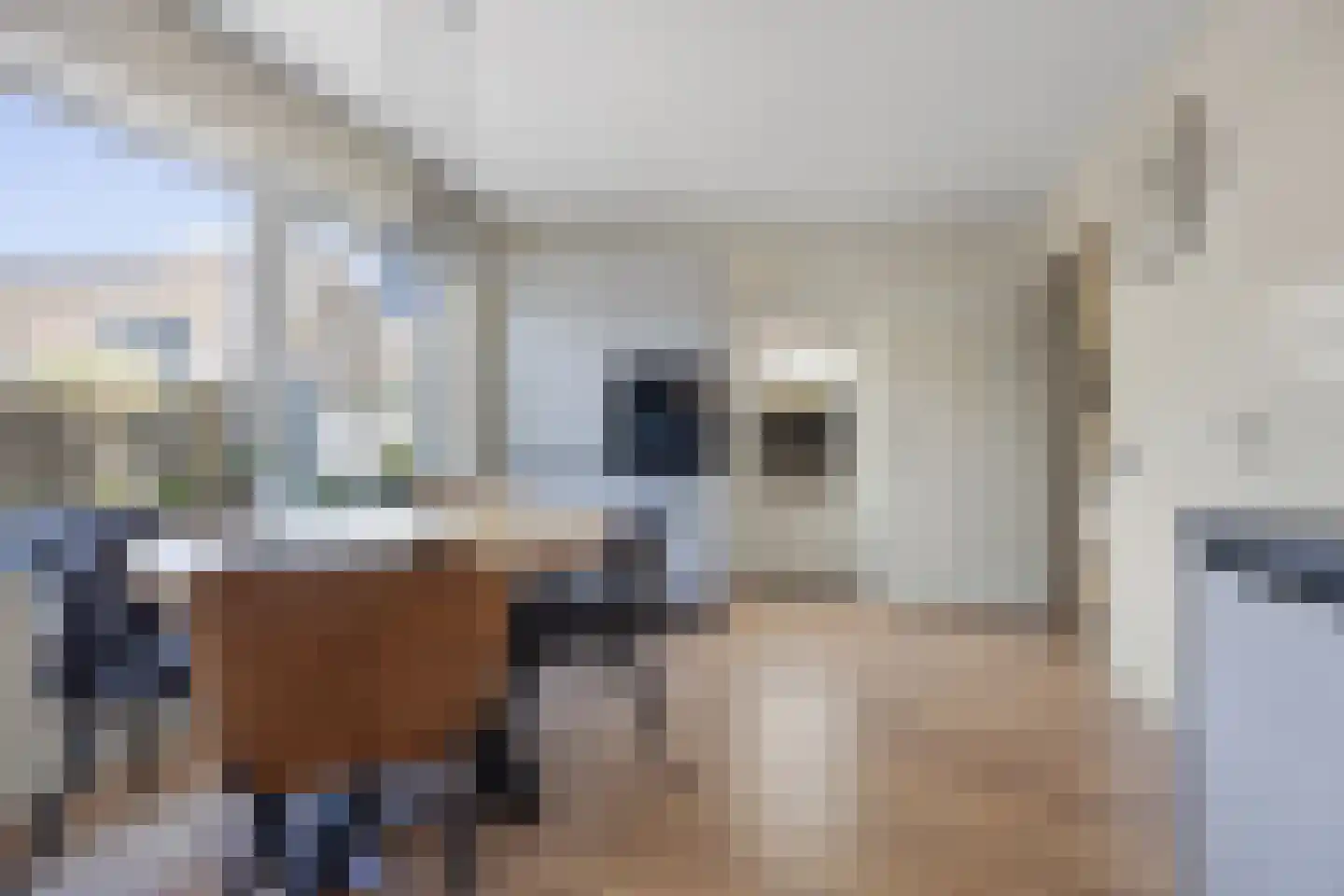 De Schoolmeesterstraat 26 Vlijmen thumbnail 12