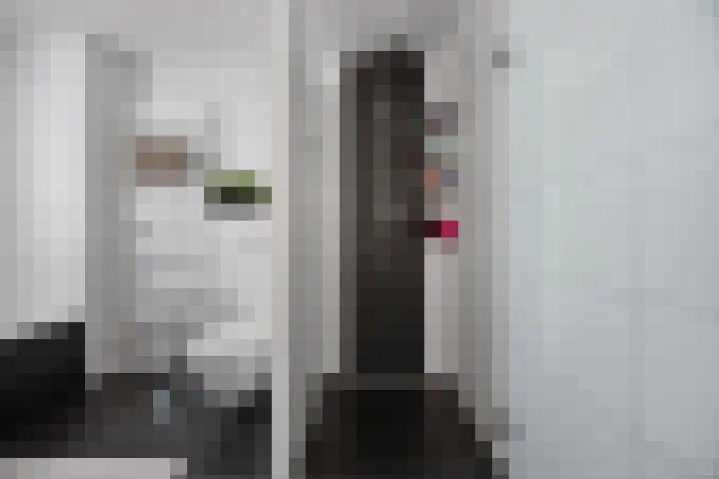 De Schoolmeesterstraat 26 Vlijmen thumbnail 16