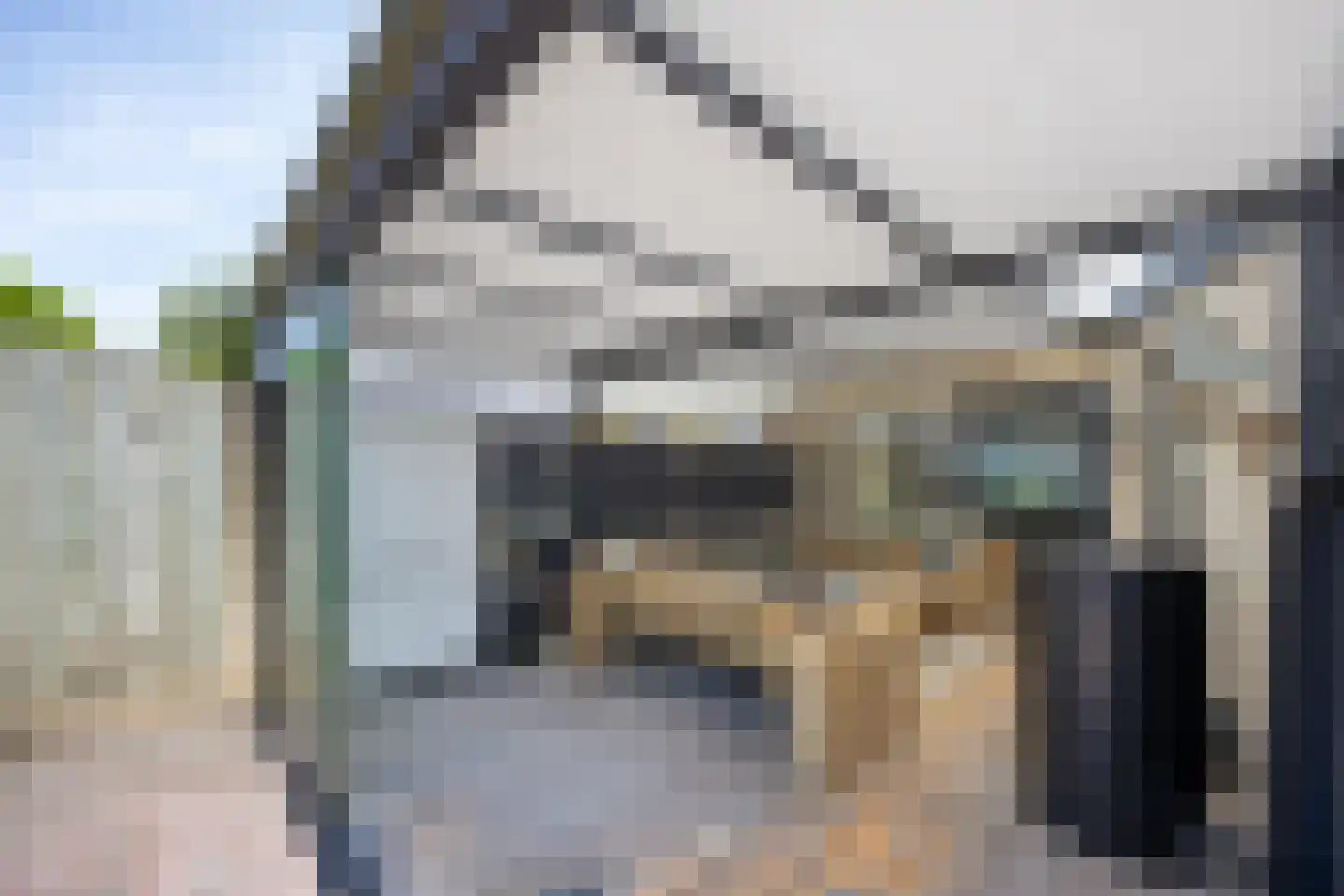 De Schoolmeesterstraat 26 Vlijmen thumbnail 23