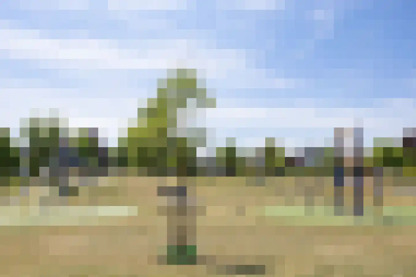 De Schoolmeesterstraat 26 Vlijmen thumbnail 30